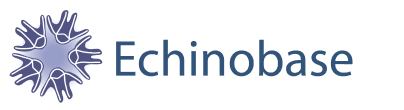 Echinobase Logo