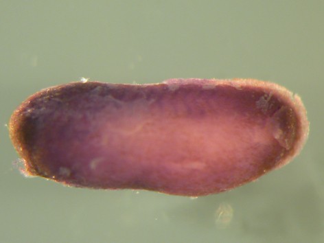 Smith Lab Image