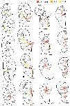 Expression Image