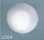 Expression Image