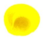 Expression Image