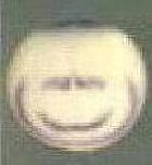 Expression Image