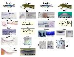 Expression Image