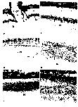 Expression Image