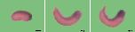 Expression Image