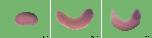 Expression Image