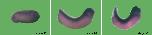 Expression Image