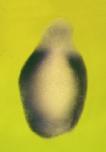 Expression Image