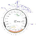 Expression Image
