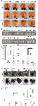 Expression Image