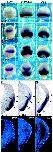 Expression Image