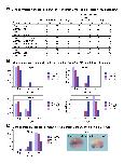 Expression Image