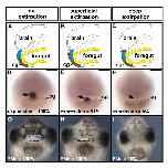 Expression Image