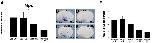 Expression Image