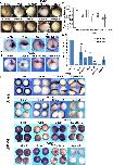 Expression Image