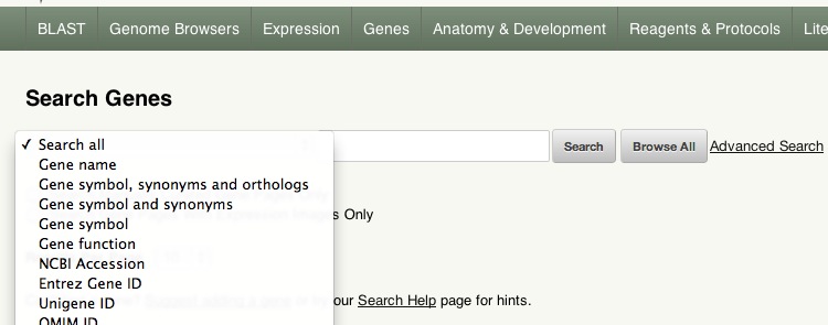 Search options